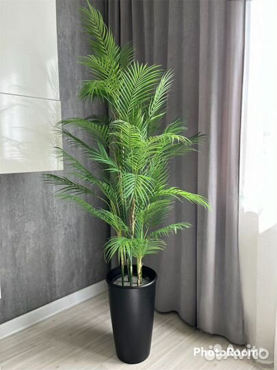 Искусственная декоратиная пальма реал тач