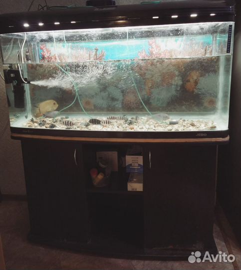 Аквариум Jebo 3126 300 литров