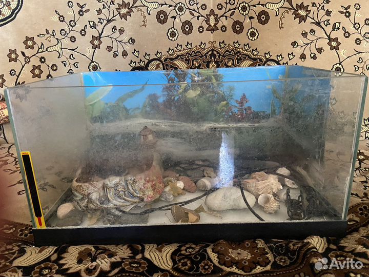 Аквариум 50 литров с фильтром и нагревателем