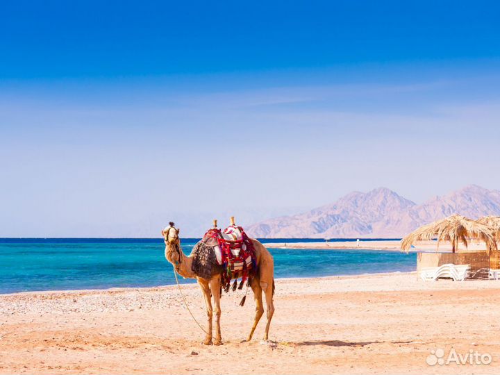 Тур в Хургада на 6 ночей за двоих