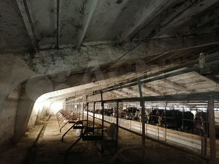 Участок 99999,99 га (СНТ, ДНП)