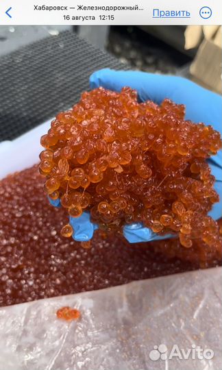 Красная икра оптом Кета И Горбуша