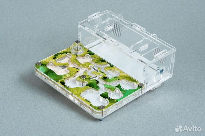 Муравьиная Ферма Мини + Формикарий с гипсом