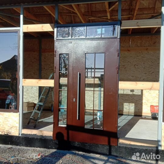 Дверь входная для магазина офиса