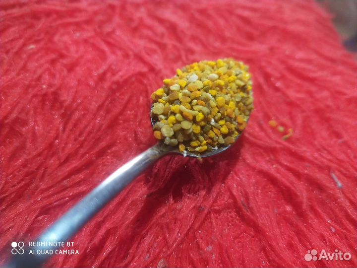 Пыльца цветочная или пчелиная обножка