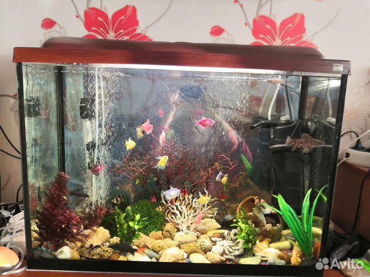 Аквариум aqua plus 100 л