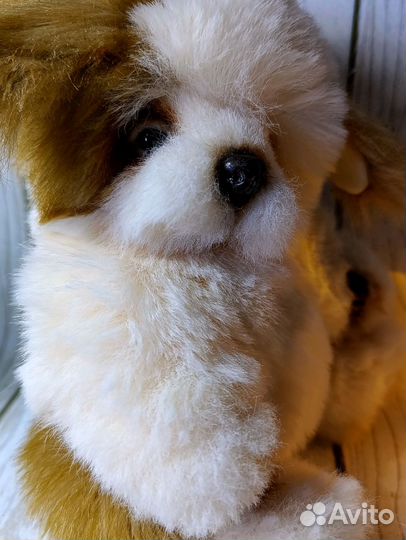 Собачка а стиле Тедди