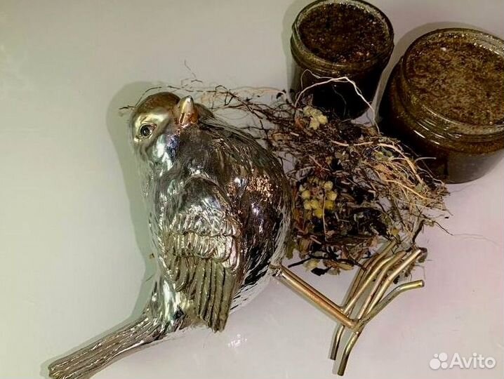 Пчелиный нектар для потенции