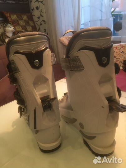 Горнолыжные ботинки