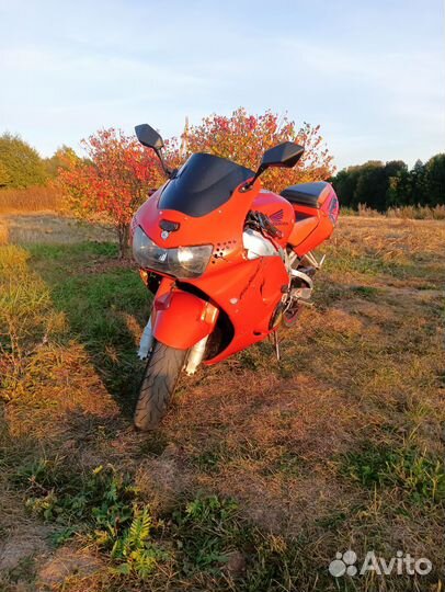 Honda cbr900rr