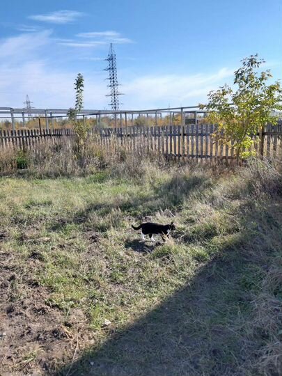 Таунхаус 34 м² на участке 4 сот.