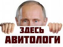 Авитолог. Продвижение Авито