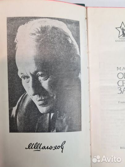 Они сражались за Родину (главы из романа) Шолохов