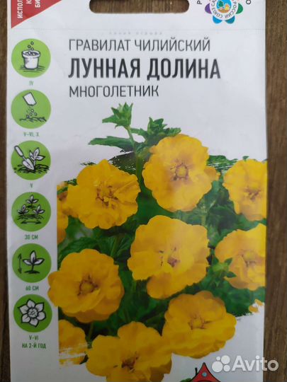 Гравилат