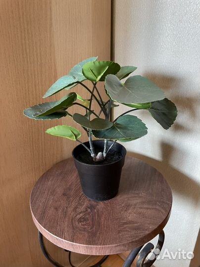 Искусственные цветы