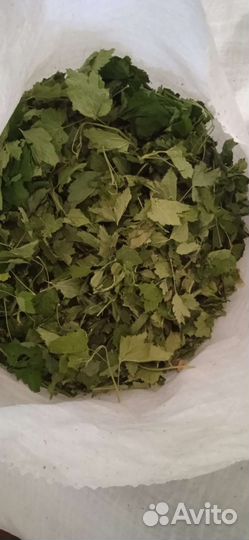 Закуп продажа трав корней