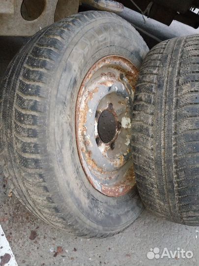 Колеса раф 2203