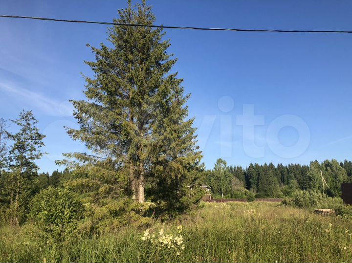 Участок 15 сот. (ИЖС)