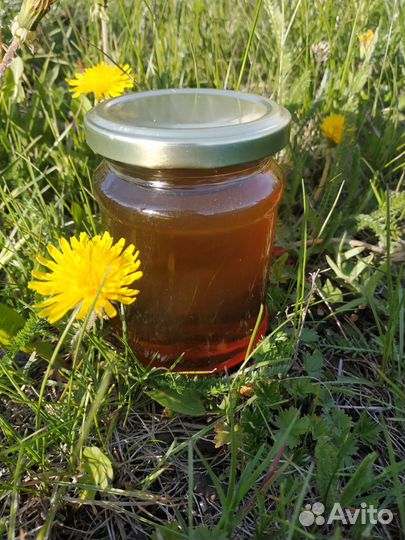 Малиновое варенье, варенье из одуванчиков, шишек