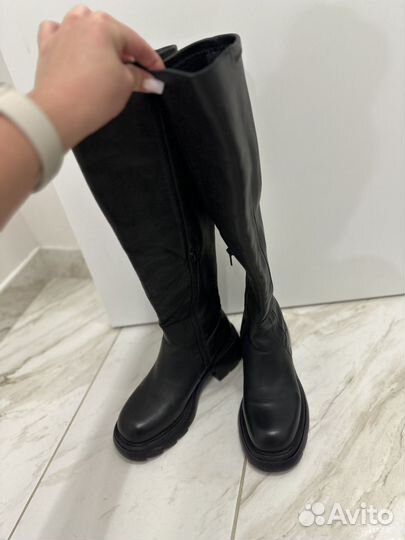 Сапоги женские tj collection