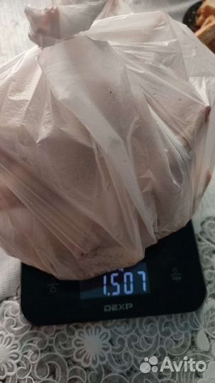 Перепел Белый Гигант