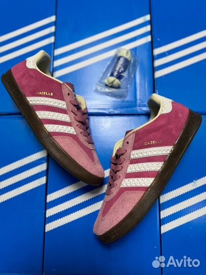 Adidas originals gazelle indoor