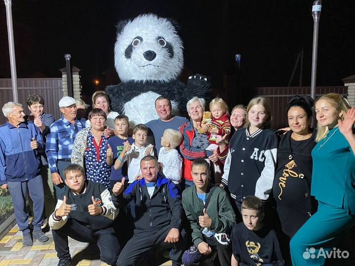 Панда поздравление/ Ростовая кукла панда/Аниматор