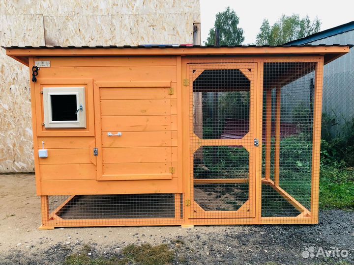 Курятник апельсинка