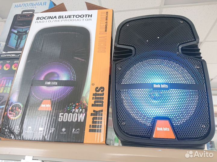 Акустическая система с Блютуз и Караоке.pmpo 5000В