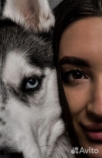 Мобильный фотограф /контент/снимки день в день