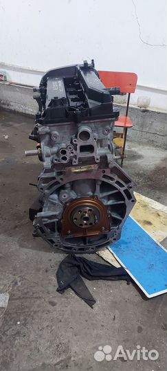 Двигатель ford focus 2 2.0 145 л с aoda
