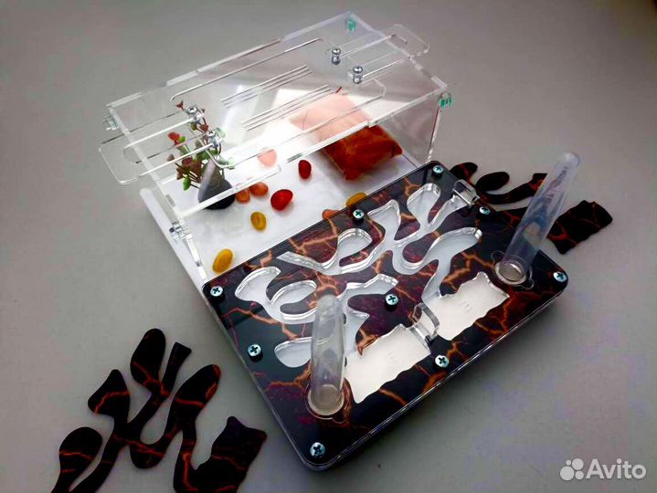 Муравьиная ферма с доставкой по РФ и муравьями