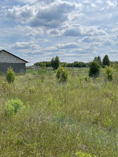 Участок 15 сот. (ИЖС)