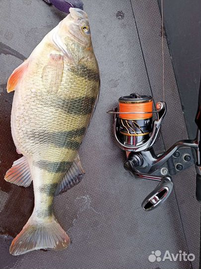 Рыбалка с гидом