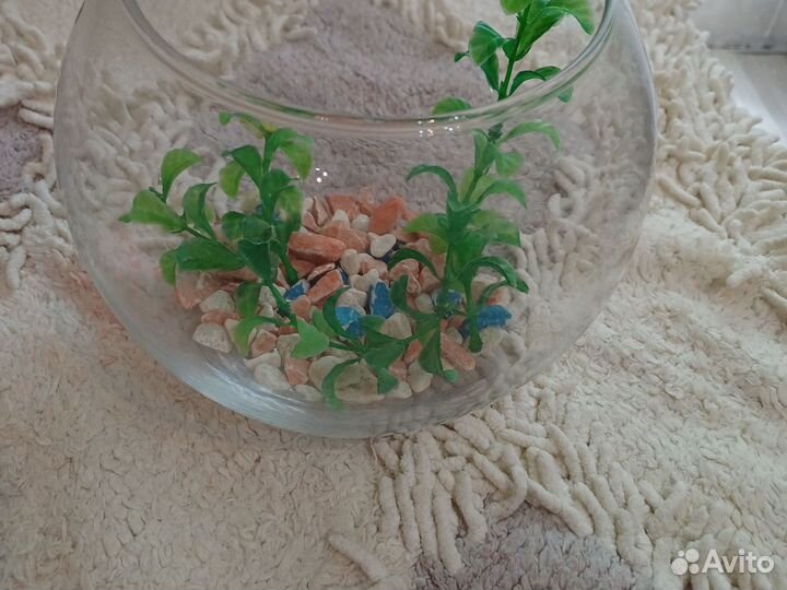 Аквариум круглый