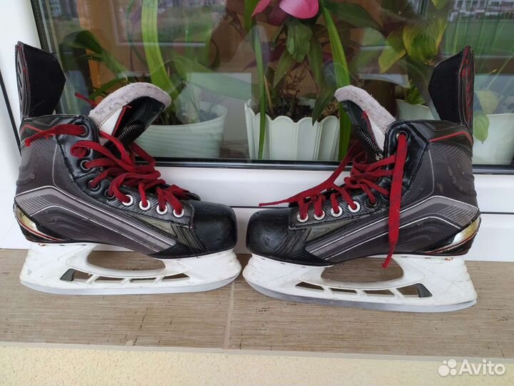 Хоккейные коньки bauer vapor X700