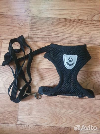 Ошейник и поводок