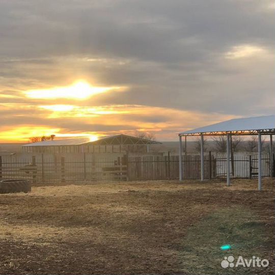 Бескаркасные и каркасные ангары