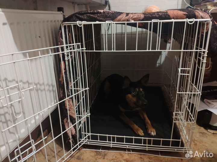 Клетка для собак