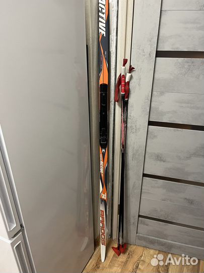 Беговые лыжи