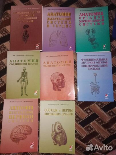 Анатомия