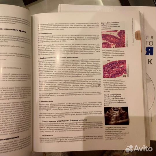 Энциклопедия питания собак и кошек