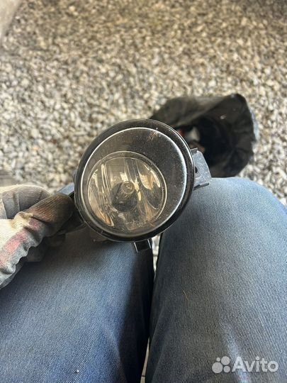 Противотуманник