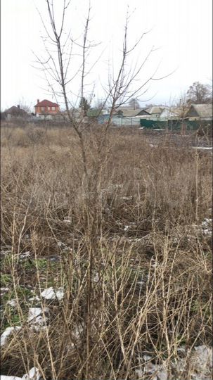 Участок 15 сот. (СНТ, ДНП)