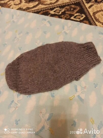 Кофта для котенка