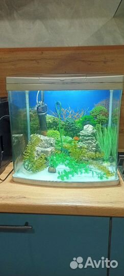 Аквариум 50 литров