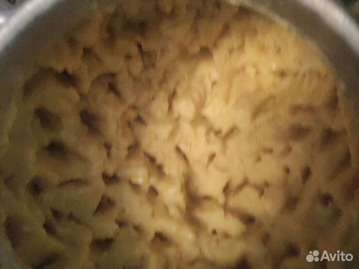 Мед цветочный 2023