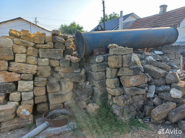 Ракушка разнобой