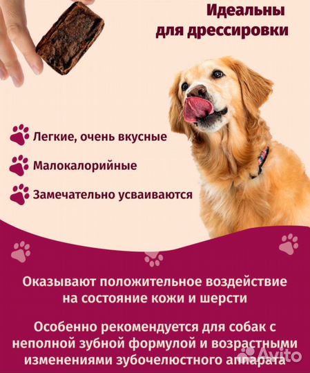 Вкусняшки для собак