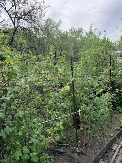 Участок 3,4 сот. (ИЖС)